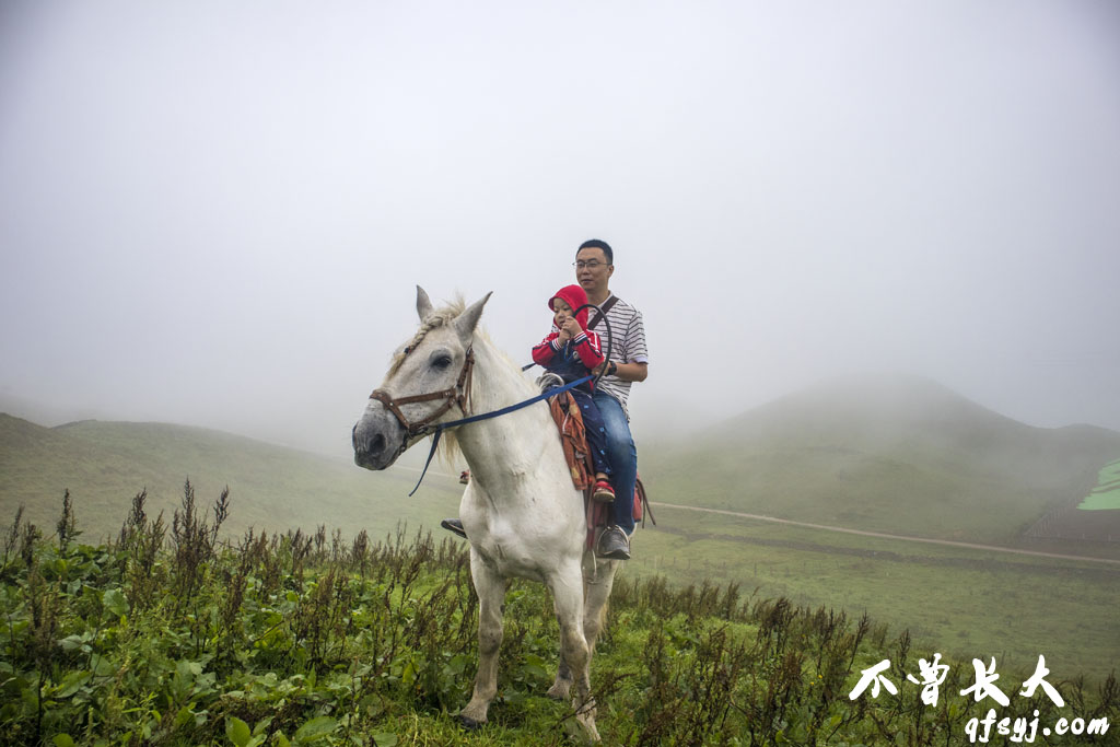 图片[7] - 休假第二天，南山牧场——长沙 - 拳废神域界-秦大叔的流水账