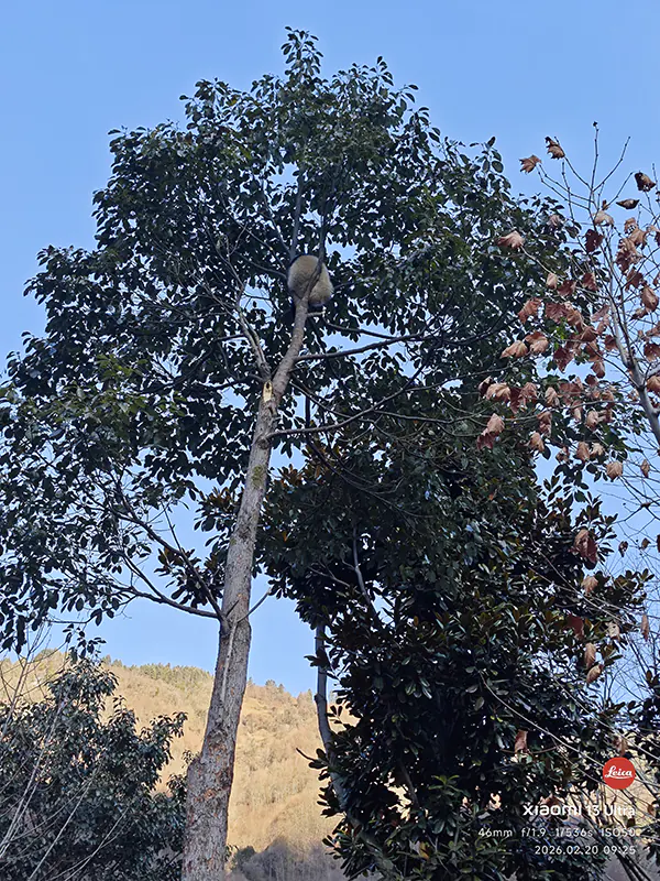 图片[10] - 马年春节游的流水账 - 不曾长大-秦大叔的流水账